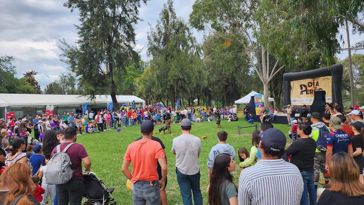 Parques y bosques